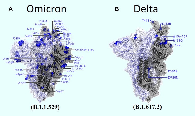 Deleterious Mutations in SARS-CoV-2